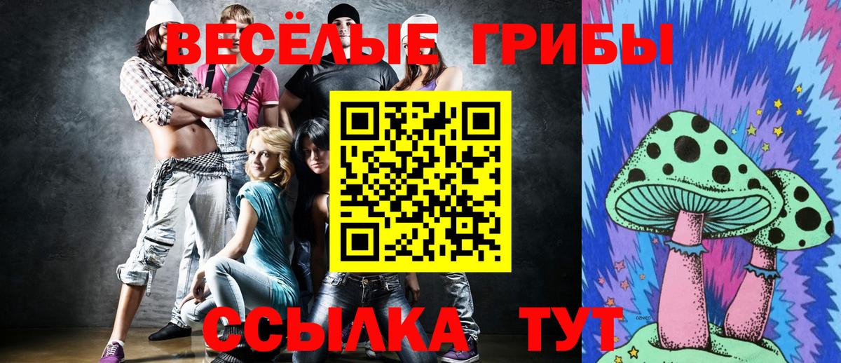 Галлюциногенные грибы ЛСД  Вход с VPN  Ногинск 