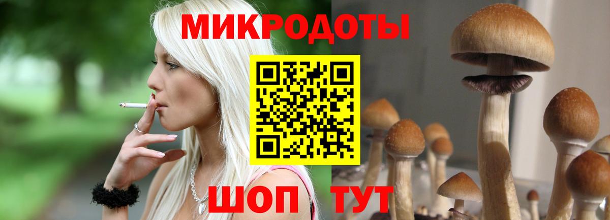 Галлюциногенные грибы Psilocybine cubensis Ногинск